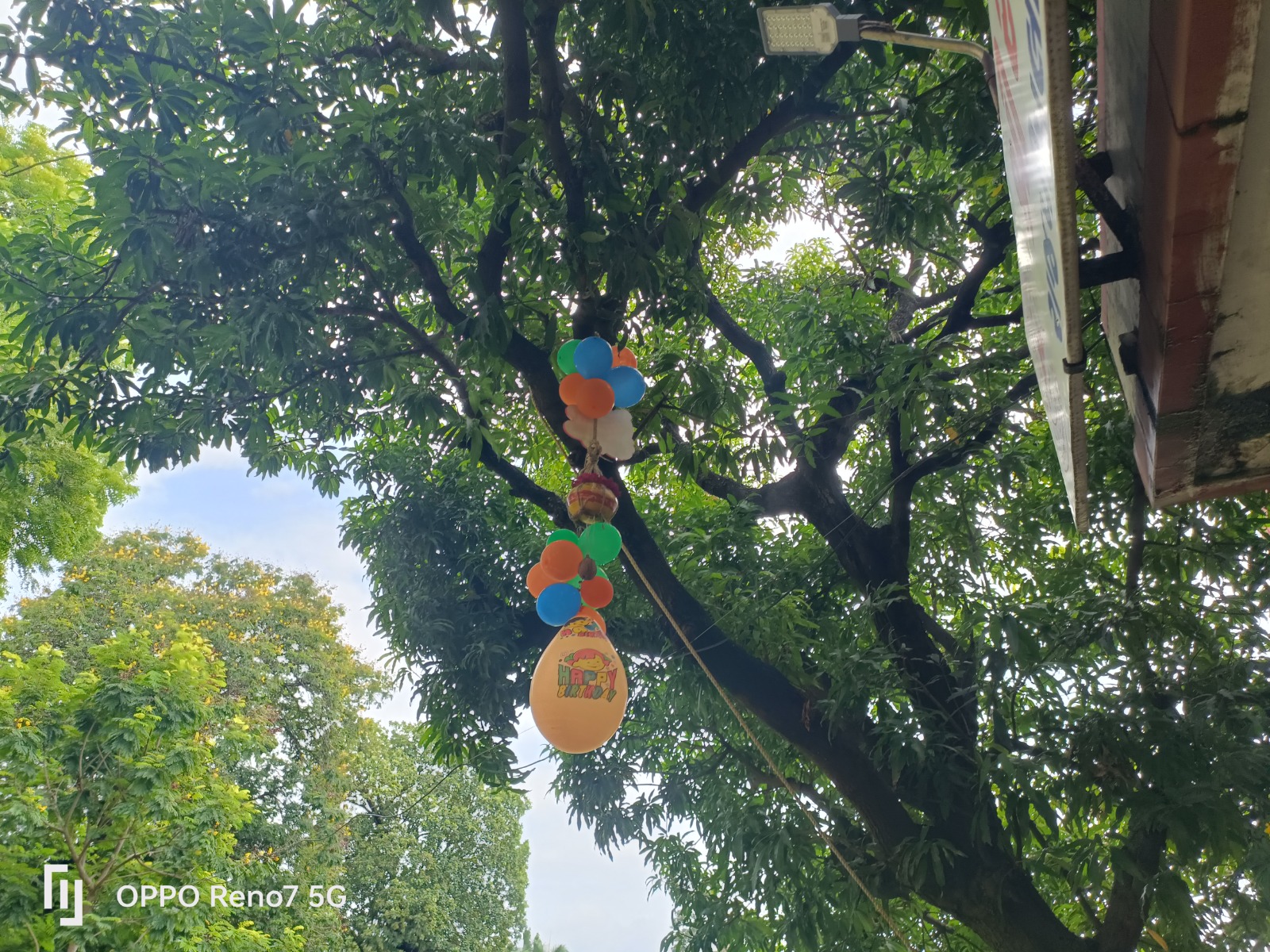 Activity WhatsApp Image 2025-10-31 at 17.34.24_f0b08add.jpg